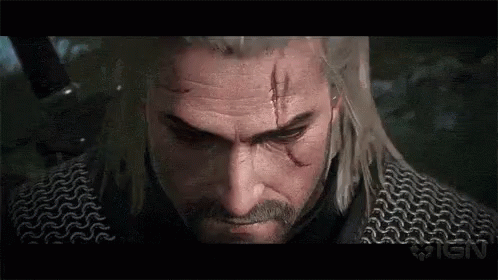 witcher-the-witcher.gif