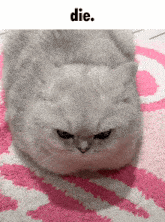 a white cat is laying on a pink and white rug with the word die below it