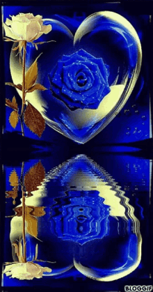 Blue Rose GIF - Blue Rose Reflection GIFs