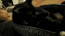 Blackcat Cleaning GIF - Blackcat Cleaning Grooming GIFs