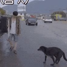 Juyeon Dog Seeks Warmth GIF - Juyeon Dog Seeks Warmth 8footkitty GIFs