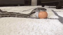 GIF