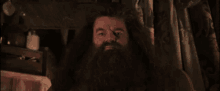 Hagrid Get Out Of My House GIF - Hagrid Get Out Of My House Get Out GIFs
