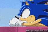 a gif of sonic the hedgehog is being displayed