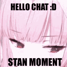 Hello Chat Stan Moment GIF