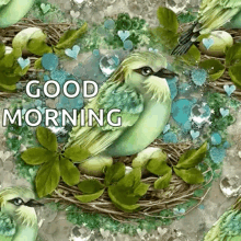 Good Morning Birds GIF - Good Morning Birds Sparkles GIFs