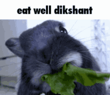 dikshant eat