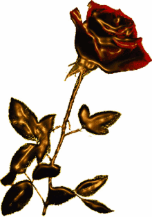 b%C3%B6be giffjei red gold rose