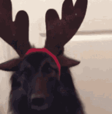 Dog Cute GIF - Dog Cute Reindeer Headband GIFs