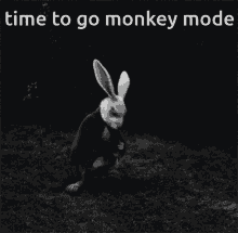 Rabbit Monkey Mode GIF - Rabbit Monkey Mode Watch GIFs