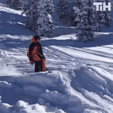 Snow Ski GIF