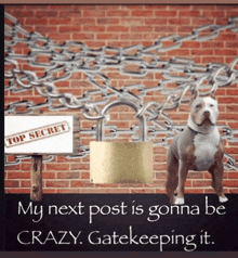 a dog standing in front of a brick wall with chains and a sign that says top secret