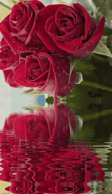 Red Rose571 Red Rose75 GIF