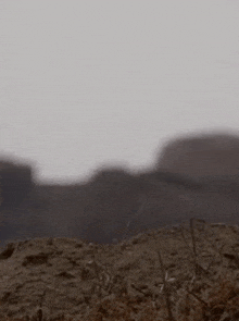 a man in a suit and tie is standing in the dirt