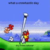 Dry Crows Drycrows GIF