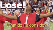 Lose Falcons GIF - Lose Falcons What Do Falcons Do GIFs