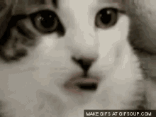 Yes You GIF - Yes You Can GIFs