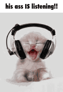 Music Cat GIF - Music Cat Listening GIFs