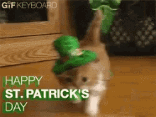 St Patricks Day Kitten GIF - St Patricks Day Kitten Cat GIFs