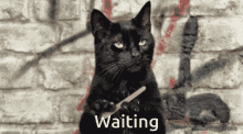 Sabrina Cat Waiting File Claws GIF - Sabrina Cat Waiting File Claws GIFs
