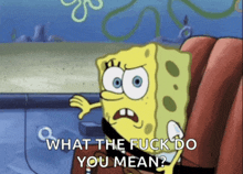 spongebob says " what the fuck do you mean " while wearing a seat belt