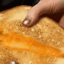grilled cheese sandwich cheesy cheese food