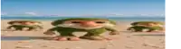 a group of green trolls are standing on a beach .