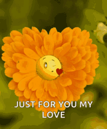 Flower Love You GIF