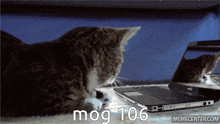 Mog 106 GIF - Mog 106 Mog 106 GIFs