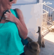 Stealing The Pet Collective GIF - Stealing The Pet Collective Monkey GIFs