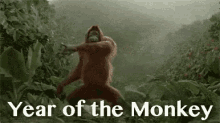 Year Of The Monkey GIF - Year Of The Monkey Monkey Dance GIFs
