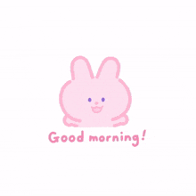 rabbit bunny pink cute good morning