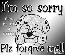 Sorry Forgive Me GIF - Sorry Forgive Me Dog GIFs