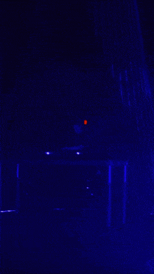 Laser Lasers GIF