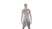 a soccer player wearing a grey jersey with a red bull on it