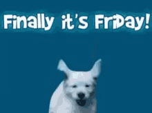 Its Friday Dance GIF - Its Friday Dance Almost Weekend GIFs