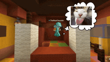 a picture of a cat is above a thought bubble with the name the real squiddo