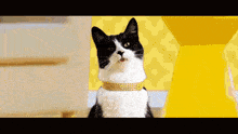 Cat Meowmix GIF - Cat Meowmix Shelines GIFs