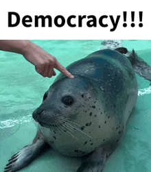 a seal is being touched by a person 's finger and the caption says democracy !!