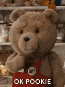 a teddy bear wearing a red apron is standing in front of a shelf and says `` ok pookie '' .