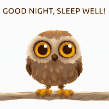 Good Night Owl GIF - Good Night Owl GIFs