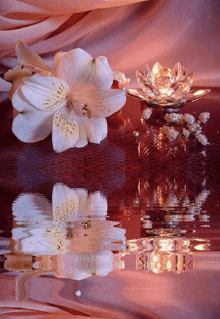 Flowers Water GIF - Flowers Water Relax GIFs