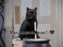 Salem Waiting For You GIF