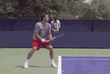 Ernests Gulbis Forehand GIF