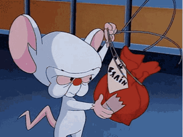 Pinky And The Brain Earth GIF - Pinky And The Brain The Brain Earth -  Discover & Share GIFs
