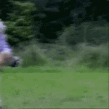 Old Lady GIF - Old Lady Walking GIFs