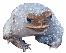 toad bubble