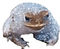 Bubble Toad Toad Sticker - Bubble Toad Toad Toads Stickers