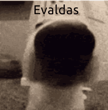 Evaldas GIF - Evaldas GIFs