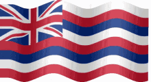 Hawaii Flag GIF - Hawaii Flag GIFs
